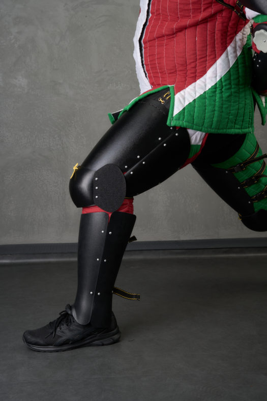 Plastic legs protection full harness