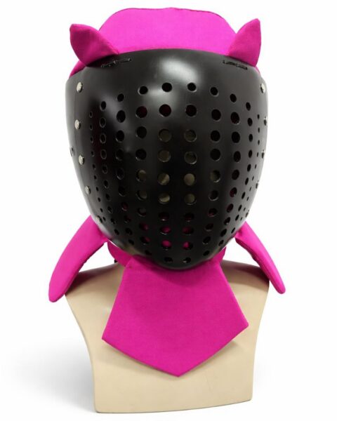 Colander visor helmet with cat ears Crest