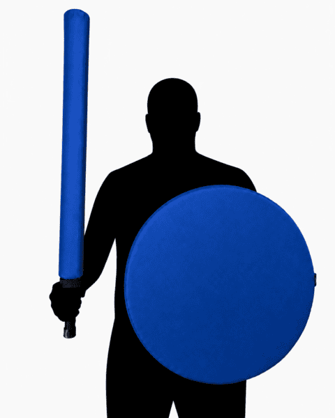 Sword and shield set