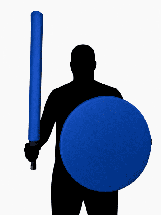Sword and shield set