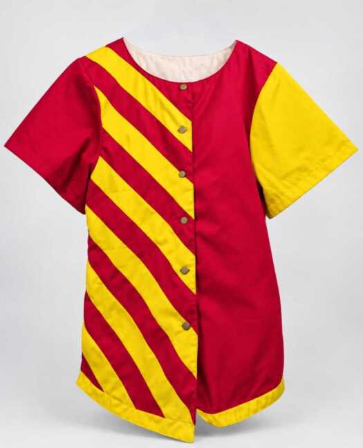 Team tunic with sleeves